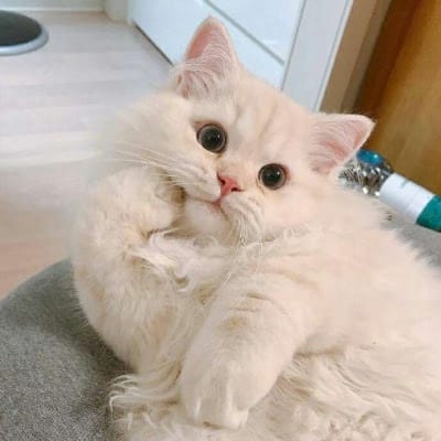 จัคพัน ไพสุวรรณ avatar