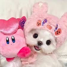 วิทัย ศรีวัฒนประภา avatar